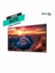 Pantalla profesional - Samsung - Smart Signage QM75B - LFD 75" 4K UHD - Quantum Processor 4K & Smartview+ Non Glare